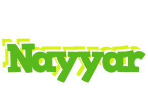 Nayyar picnic logo