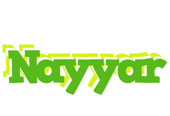 Nayyar picnic logo