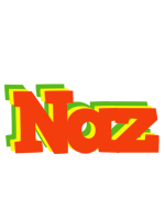 Naz bbq logo