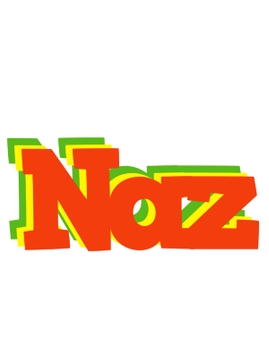 Naz bbq logo