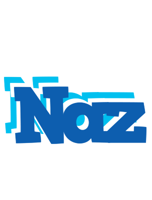 Naz business logo