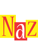 Naz errors logo
