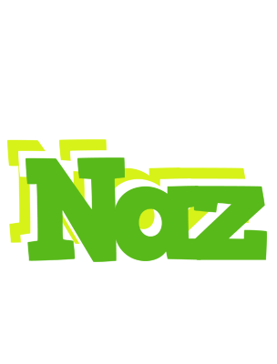 Naz picnic logo