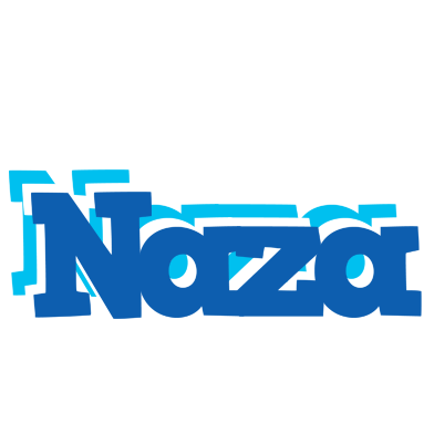 Naza business logo