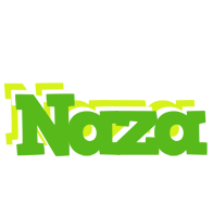 Naza picnic logo