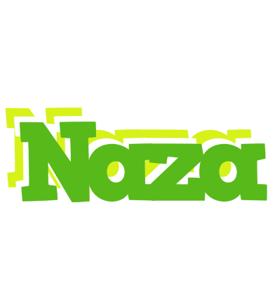 Naza picnic logo