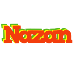 Nazan bbq logo
