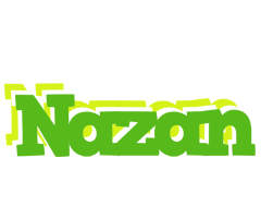 Nazan picnic logo