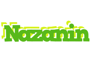 Nazanin picnic logo