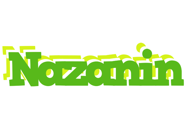 Nazanin picnic logo