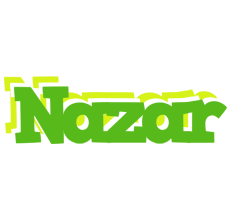 Nazar picnic logo