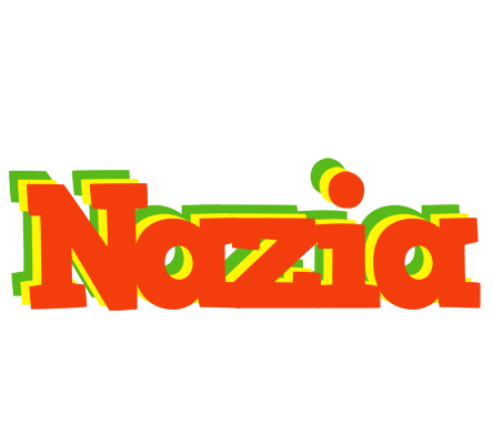 Nazia bbq logo