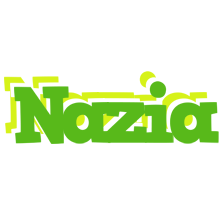 Nazia picnic logo