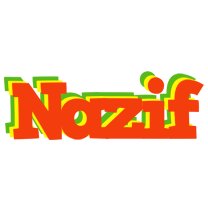 Nazif bbq logo
