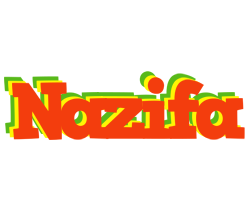 Nazifa bbq logo