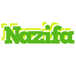 Nazifa picnic logo