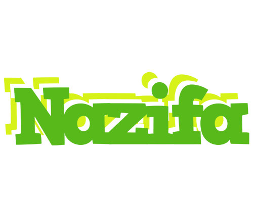 Nazifa picnic logo