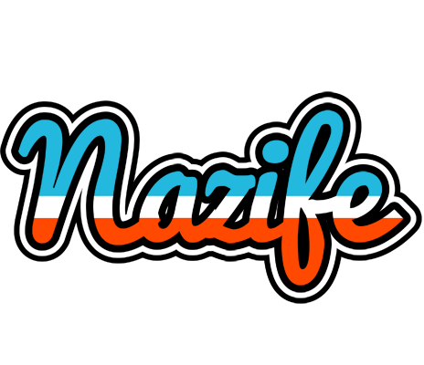 Nazife america logo