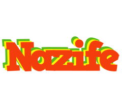 Nazife bbq logo