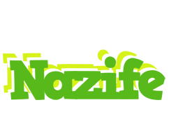 Nazife picnic logo