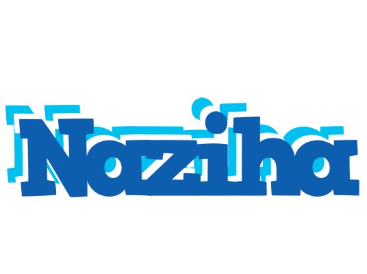 Naziha business logo