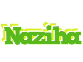 Naziha picnic logo