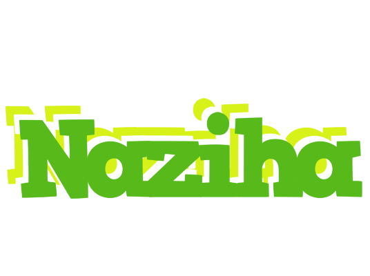 Naziha picnic logo