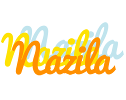 Nazila energy logo