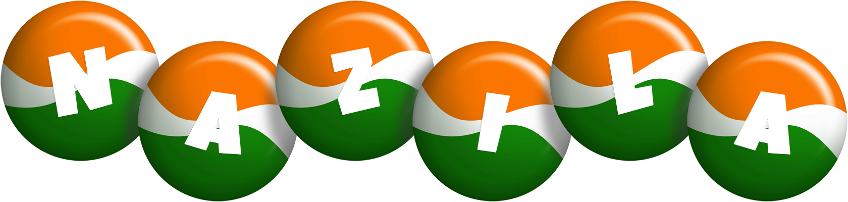 Nazila india logo