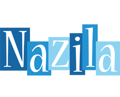 Nazila winter logo