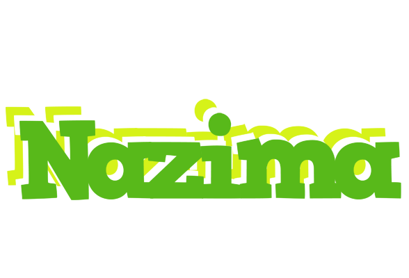 Nazima picnic logo