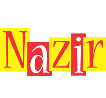 Nazir errors logo