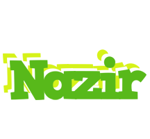 Nazir picnic logo