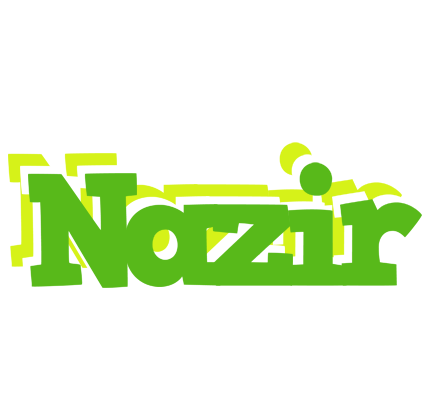 Nazir picnic logo