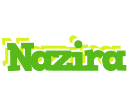 Nazira picnic logo