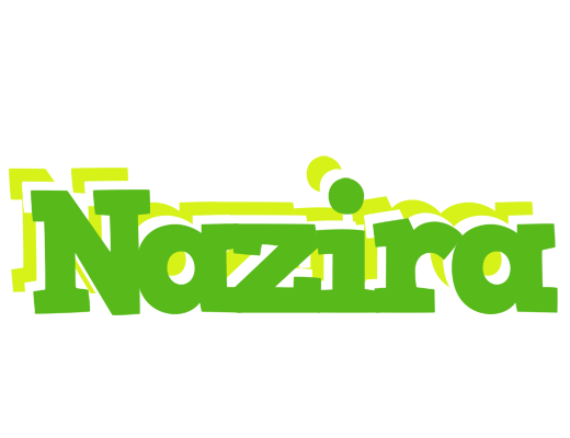 Nazira picnic logo
