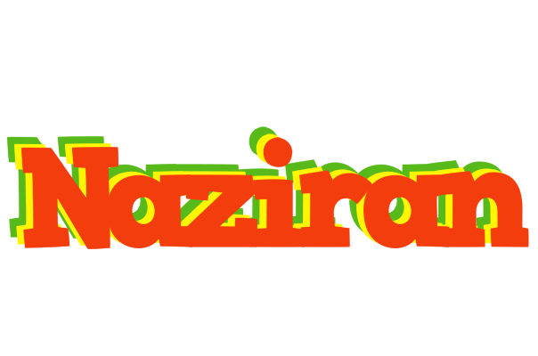Naziran bbq logo