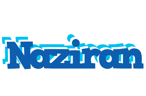 Naziran business logo