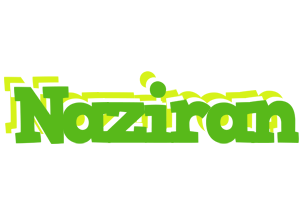 Naziran picnic logo