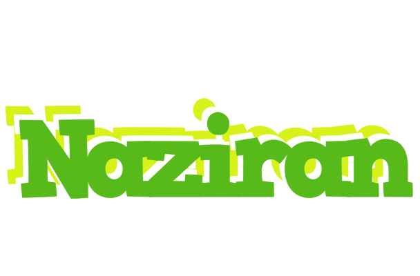 Naziran picnic logo