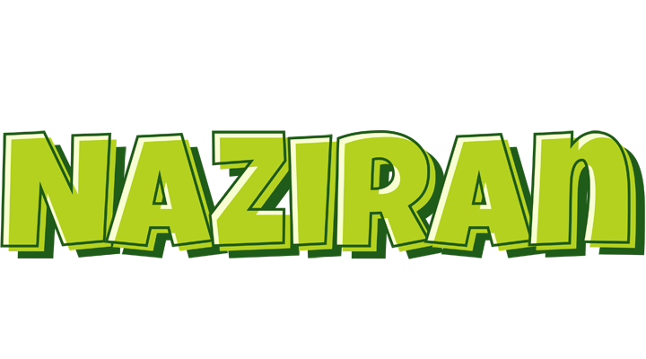 Naziran summer logo