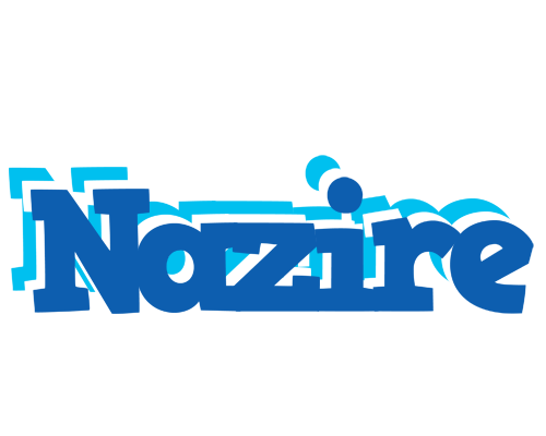 Nazire business logo