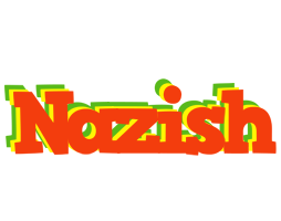 Nazish bbq logo