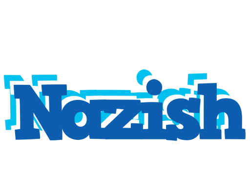 Nazish business logo