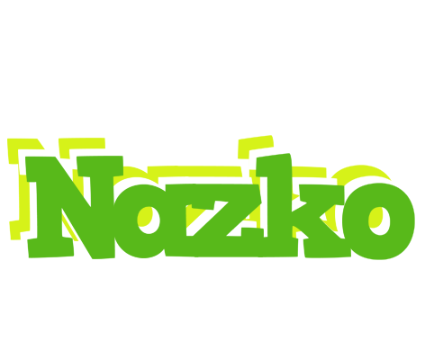 Nazko picnic logo