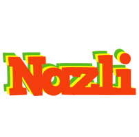 Nazli bbq logo