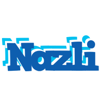 Nazli business logo