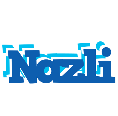 Nazli business logo
