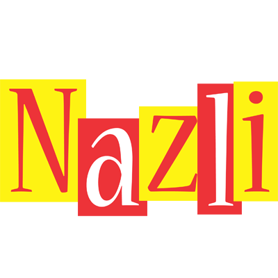 Nazli errors logo