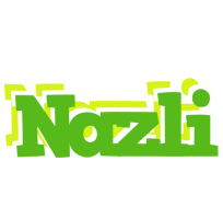 Nazli picnic logo